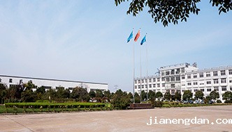 企业简介