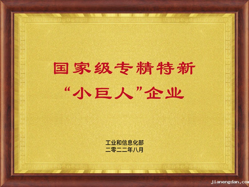 国家级专精特新“小巨人”企业